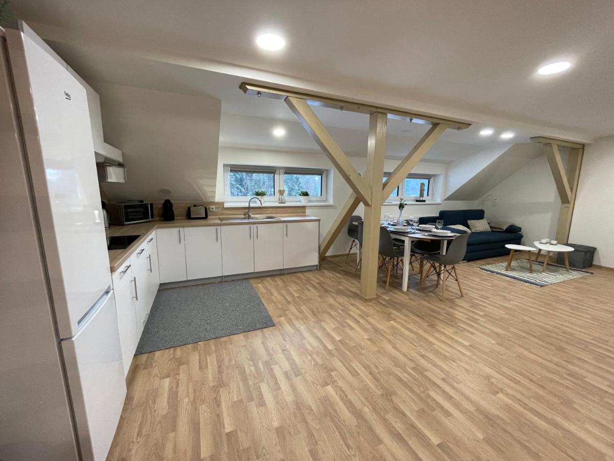 Apartmany Herc 亚希莫夫 外观 照片